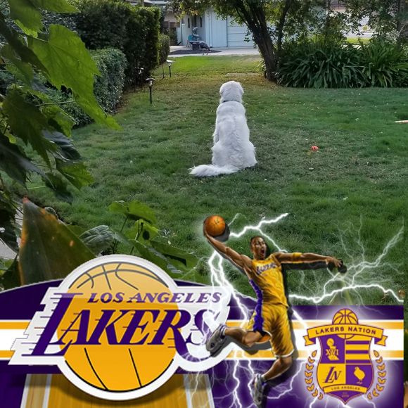 Meet your Posher, Sandy - Picture 1 of 1